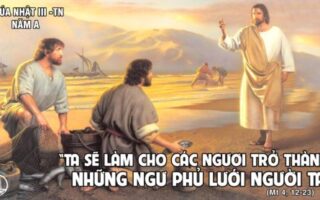 CÁC BÀI SUY NIỆM LỜI CHÚA CHÚA NHẬT III THƯỜNG NIÊN- A