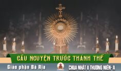 Cầu nguyện trước Thánh Thể- Ngày 18.01.2026 – Chúa nhật II Thường niên – Ga 1,29-34