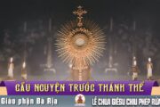Cầu nguyện trước Thánh Thể- Ngày 11.01.2026 – Lễ Chúa Giêsu Chịu Phép Rửa – Mt 3,13-17