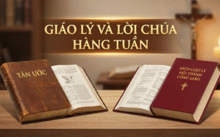 TÀI LIỆU CÂU GIÁO LÝ VÀ LỜI CHÚA HÀNG TUẦN