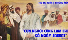 20.01.2026 – Thứ Ba Tuần II Thường Niên