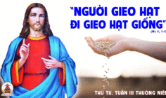 28.01.2026 – Thứ Tư Tuần III Thường Niên