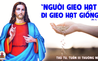 28.01.2026 – Thứ Tư Tuần III Thường Niên