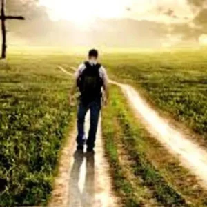 “Mùa Thường niên”: Hành trình thăng tiến thiêng liêng giữa đời thường