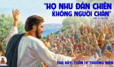 07.02.2026 – Thứ Bảy Tuần IV Thường Niên