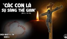 CÁC BÀI SUY NIỆM LỜI CHÚA CHÚA NHẬT V THƯỜNG NIÊN- A