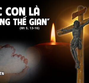 CÁC BÀI SUY NIỆM LỜI CHÚA CHÚA NHẬT V THƯỜNG NIÊN- A