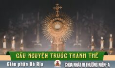 Cầu nguyện trước Thánh Thể- Ngày 15.02.2026 – Chúa nhật VI Thường niên – Mt 5,17-37