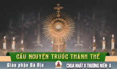 Cầu nguyện trước Thánh Thể- Ngày 08.02.2026 – Chúa nhật V Thường niên – Mt 5,13-16