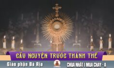Cầu nguyện trước Thánh Thể- Ngày 22.02.2026 – Chúa Nhật I mùa Chay – Mt 4,1-11