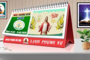 Lịch Phụng vụ từ ngày 15.02 đến 22.02.2026