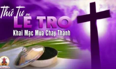 CÁC BÀI SUY NIỆM LỜI CHÚA THỨ TƯ LỄ TRO
