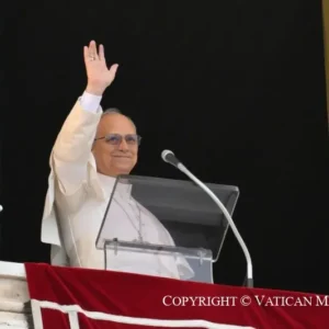 Kinh Truyền Tin (08/02/2026) - Anh em là muối cho đời… Anh em là ánh sáng cho trần gian