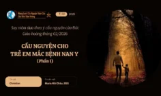 Cầu nguyện cho trẻ em mắc bệnh nan y - Suy niệm dựa theo ý cầu nguyện của Đức Giáo hoàng tháng 02/2026 phần I