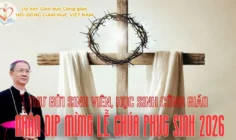Thư gửi sinh viên, học sinh Công giáo nhân dịp mừng lễ Chúa phục sinh 2026