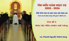 Tìm hiểu năm mục vụ 2025-2026: Mỗi Kitô hữu là một môn đệ thừa sai - Giáo hội: mầu nhiệm mặt trăng