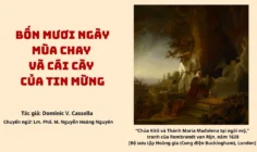 Bốn mươi ngày mùa Chay và cái cày của Tin mừng