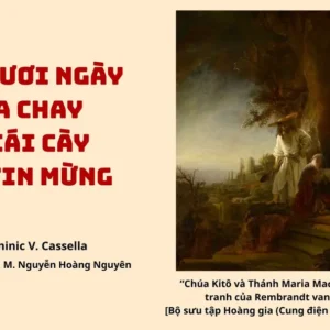 Bốn mươi ngày mùa Chay và cái cày của Tin mừng