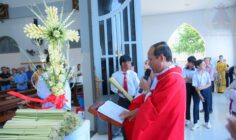 Gx. Hòa Sơn: Cử hành phụng vụ Lễ Lá 2026