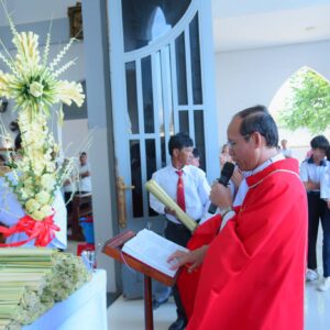 Gx. Hòa Sơn: Cử hành phụng vụ Lễ Lá 2026