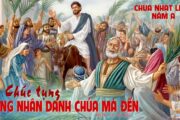 CÁC BÀI SUY NIỆM LỜI CHÚA CHÚA NHẬT LỄ LÁ- A