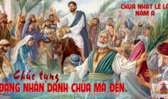 CÁC BÀI SUY NIỆM LỜI CHÚA CHÚA NHẬT LỄ LÁ- A