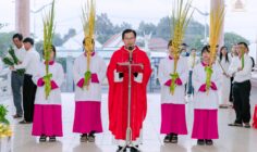 Gx. Châu Pha: Cử hành phụng vụ Chúa nhật Lễ Lá 2026