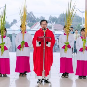 Gx. Châu Pha: Cử hành phụng vụ Chúa nhật Lễ Lá 2026