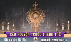 Cầu nguyện trước Thánh Thể- Ngày 15.03.2026 – Chúa Nhật IV mùa Chay – Ga 9,1-41