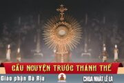 Cầu nguyện trước Thánh Thể- Ngày 29.03.2026 – Chúa Nhật Lễ Lá – Mt 27,11-54
