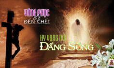 CÁC BÀI SUY NIỆM LỜI CHÚA TAM NHẬT THÁNH 2026