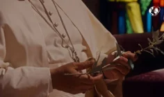 Ý cầu nguyện của Đức Thánh Cha tháng 03/2026: Cầu nguyện cho việc giải trừ vũ khí và hoà bình