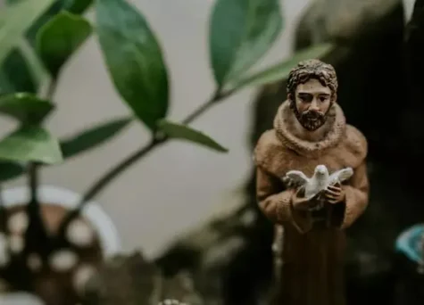 Năm Thánh Phanxicô: Tái khám phá ơn gọi sống thánh thiện và hành trình trở nên 