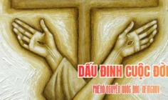 Dấu đinh cuộc đời