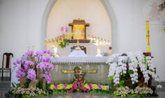 Gx. Ngãi Giao: Chầu Thánh Thể thay Giáo phận – Ngày 26.4.2026