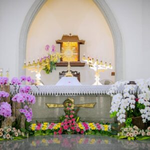 Gx. Ngãi Giao: Chầu Thánh Thể thay Giáo phận – Ngày 26.4.2026