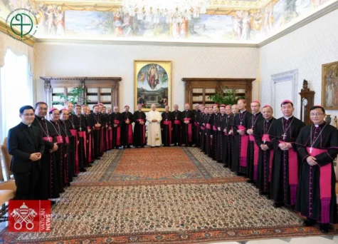 Ad limina 2026 - ngày V: Viếng mộ Thánh Phêrô và yết kiến Đức Thánh cha Lêô XIV