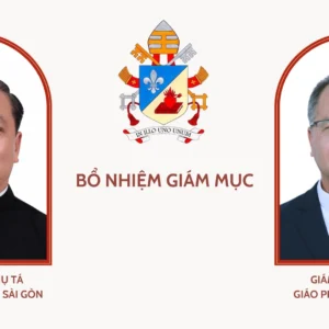 BỔ NHIỆM GIÁM MỤC PHỤ TÁ TỔNG GIÁO PHẬN SÀI GÒN - THÀNH PHỐ HỒ CHÍ MINH, GIÁM MỤC PHÓ GIÁO PHẬN QUI NHƠN