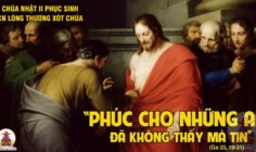 CÁC BÀI SUY NIỆM LỜI CHÚA CHÚA NHẬT II PHỤC SINH- A