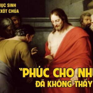 CÁC BÀI SUY NIỆM LỜI CHÚA CHÚA NHẬT II PHỤC SINH- A