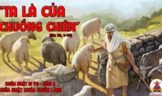 CÁC BÀI SUY NIỆM LỜI CHÚA CHÚA NHẬT IV PHỤC SINH- A