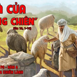 CÁC BÀI SUY NIỆM LỜI CHÚA CHÚA NHẬT IV PHỤC SINH- A