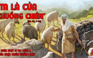 CÁC BÀI SUY NIỆM LỜI CHÚA CHÚA NHẬT IV PHỤC SINH- A