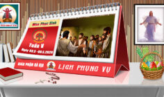 Lịch Phụng vụ từ ngày 03.5 đến 10.5.2026