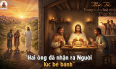 08.04.2026 – Thứ Tư Trong Tuần Bát Nhật Phục Sinh