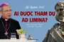 VIDEO: Ai được tham dự Ad Limina 2026? - Đức Giám mục Giuse Bùi Công Trác