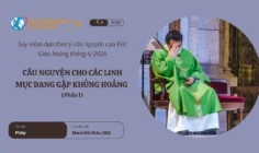 Cầu nguyện cho các linh mục đang gặp khủng hoảng - Suy niệm dựa theo ý cầu nguyện của Đức Giáo hoàng tháng 4/2026 phần I