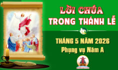 Lời Chúa trong thánh lễ hàng ngày Tháng 5 năm 2026 – Năm A