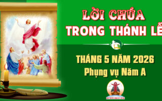 Lời Chúa trong thánh lễ hàng ngày Tháng 5 năm 2026 – Năm A