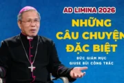 VIDEO: Ad Limina 2026: Những câu chuyện đặc biệt